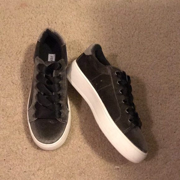 steve madden bertie sneakers